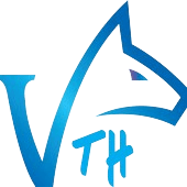 VTH